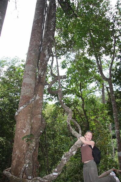 Click for the original image