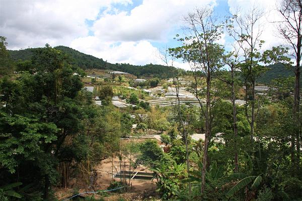 Click for the original image