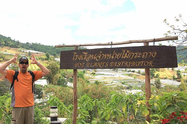 Click for the original image