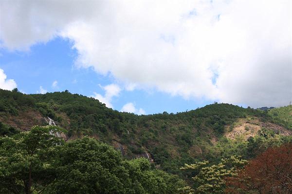 Click for the original image