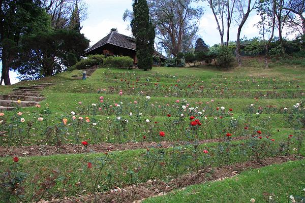 Click for the original image