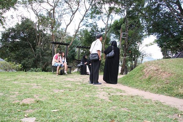 Click for the original image