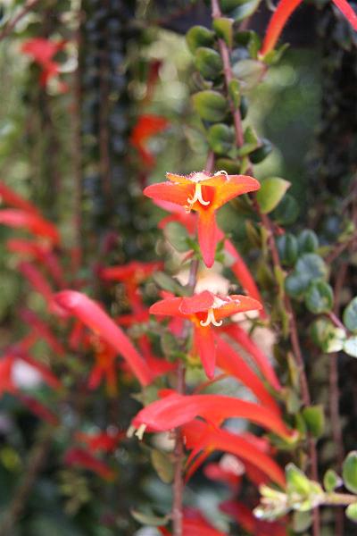 Click for the original image