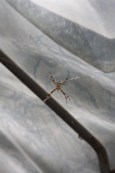 Click for the original image