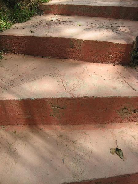 Click for the original image