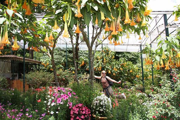 Click for the original image