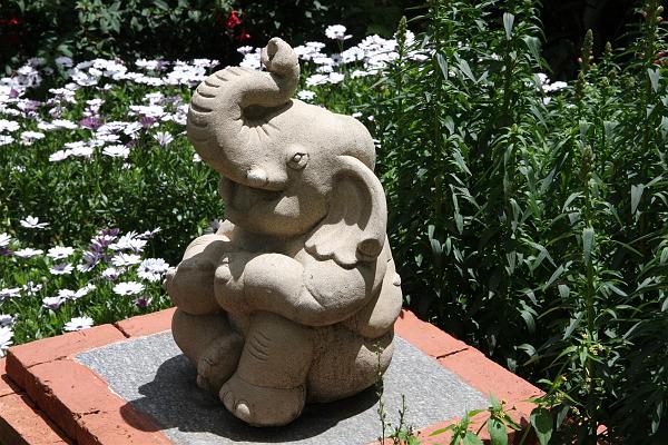 Click for the original image