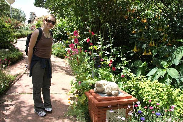 Click for the original image