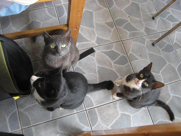 Click for the original image