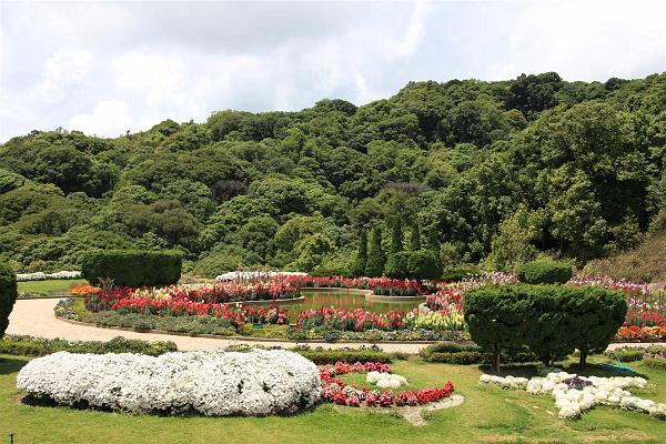 Click for the original image