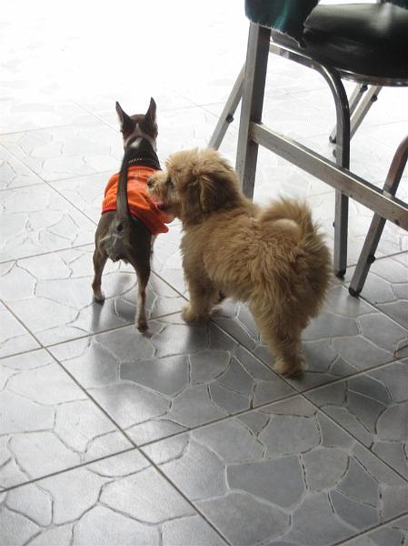 Click for the original image