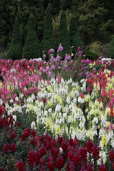 Click for the original image