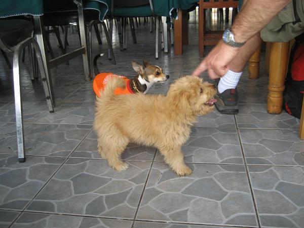 Click for the original image