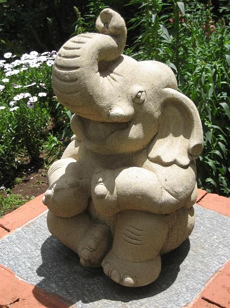 Click for the original image