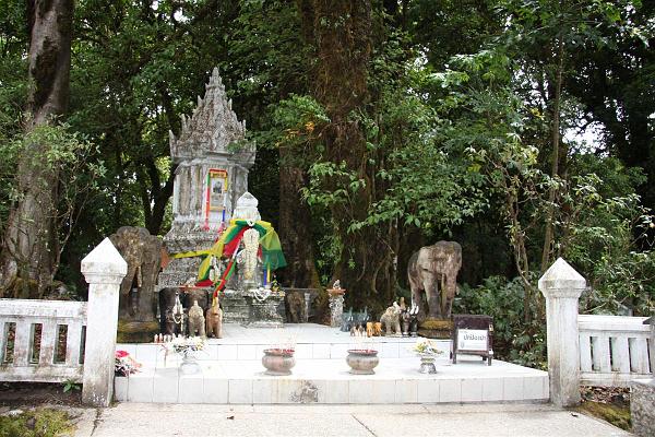 Click for the original image