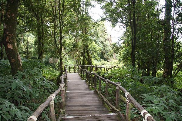 Click for the original image