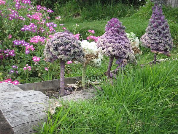 Click for the original image