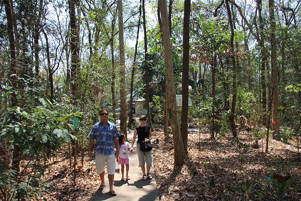 Click for the original image