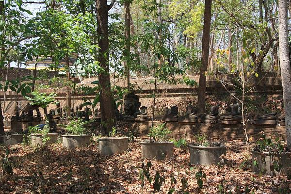 Click for the original image