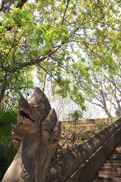 Click for the original image