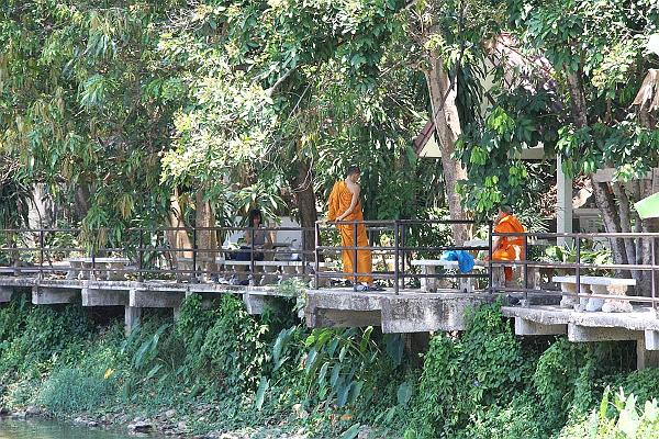 Click for the original image