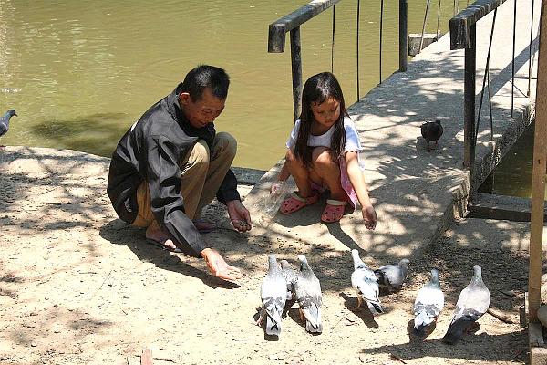 Click for the original image