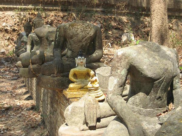 Click for the original image