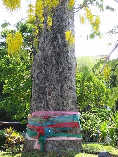 Click for the original image