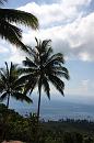 img_2047 * 1200 x 800 * (145KB)