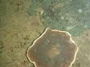 img_2413 * 1200 x 900 * (136KB)