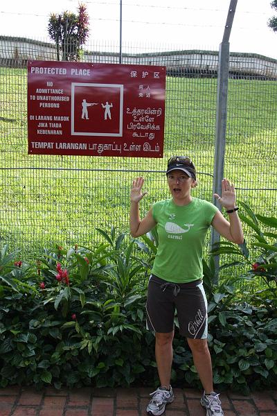 Click for the original image