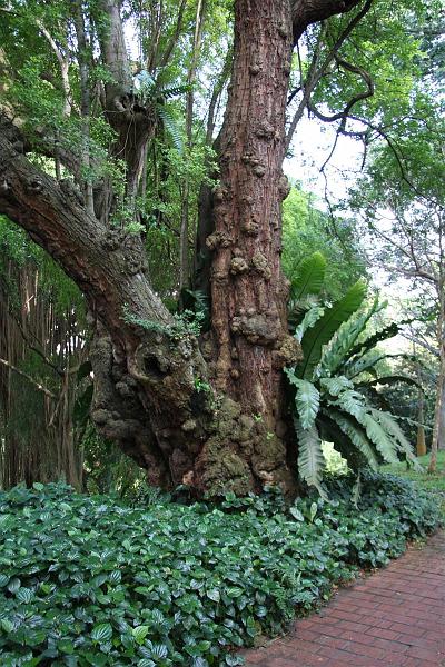 Click for the original image