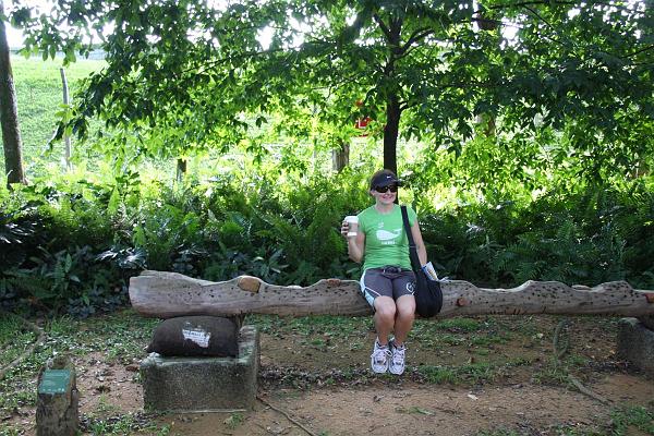 Click for the original image