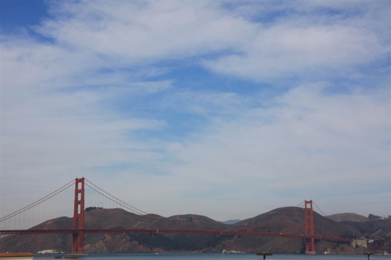 img_1024_ct.jpg