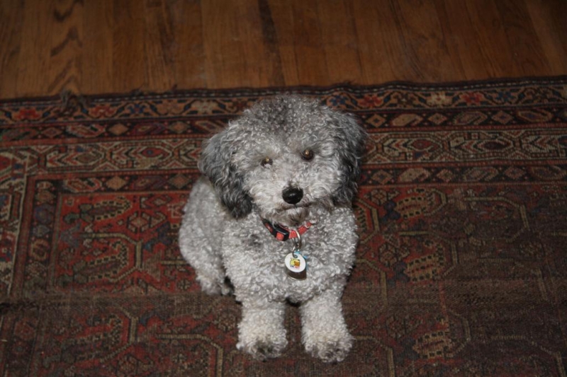 img_1631_ct.jpg